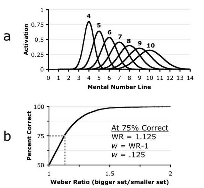 File:Mentalnumberline.jpg